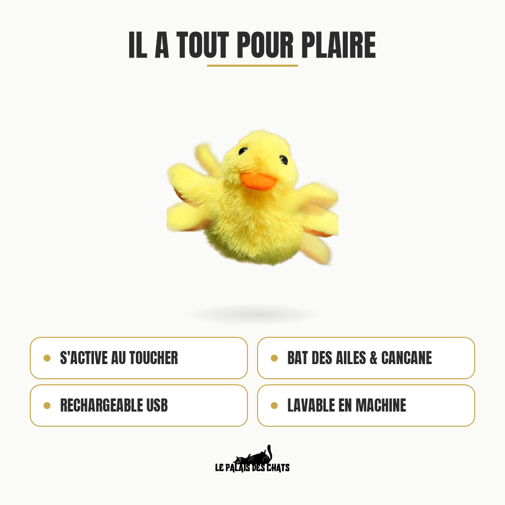 Miaou’Duck™ | Jouet interactif anti-ennui pour chat - Le Palais des Chats