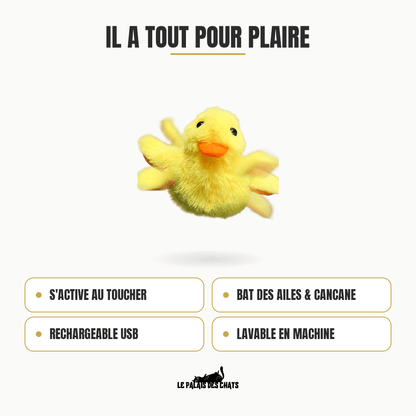 Miaou’Duck™ | Jouet interactif anti-ennui pour chat - Le Palais des Chats