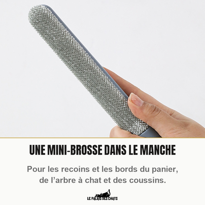 Mini-brosse en velours de la brosse anti-poils Le Sceptre de Velours, tenue en main