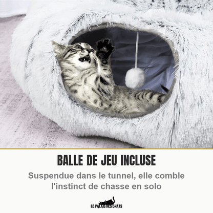 Panier tunnel 2-en-1 pour chat | Doux Ronrons - Le Palais des Chats