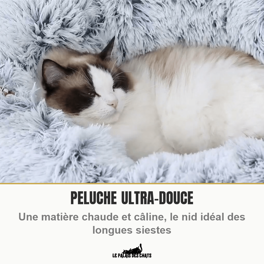 Panier tunnel 2-en-1 pour chat | Doux Ronrons - Le Palais des Chats