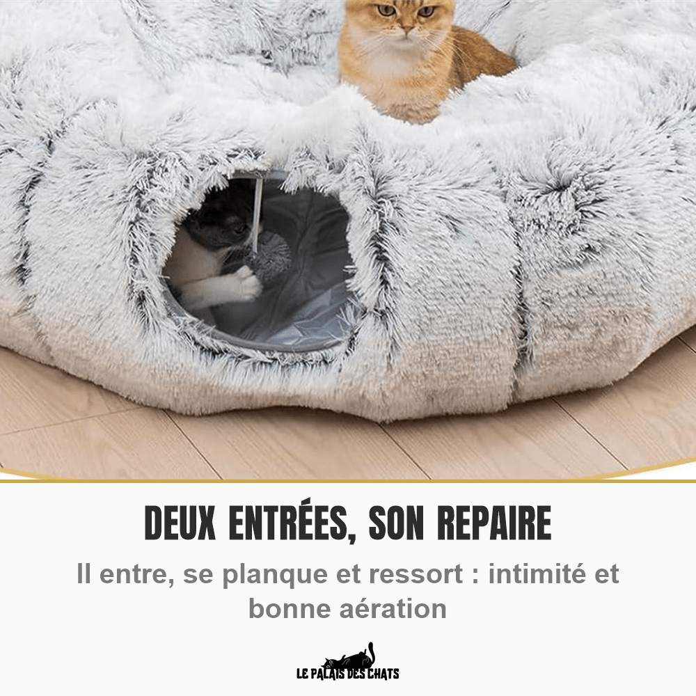 Panier tunnel 2-en-1 pour chat | Doux Ronrons - Le Palais des Chats