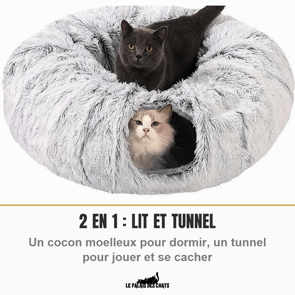 Panier tunnel 2-en-1 pour chat | Doux Ronrons - Le Palais des Chats