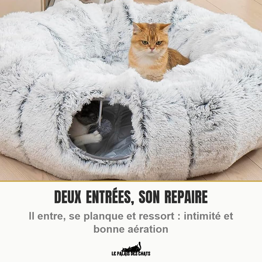 Chat roux installé dans le panier tunnel gris pendant qu'un second chat joue à l'intérieur du tunnel par l'autre entrée