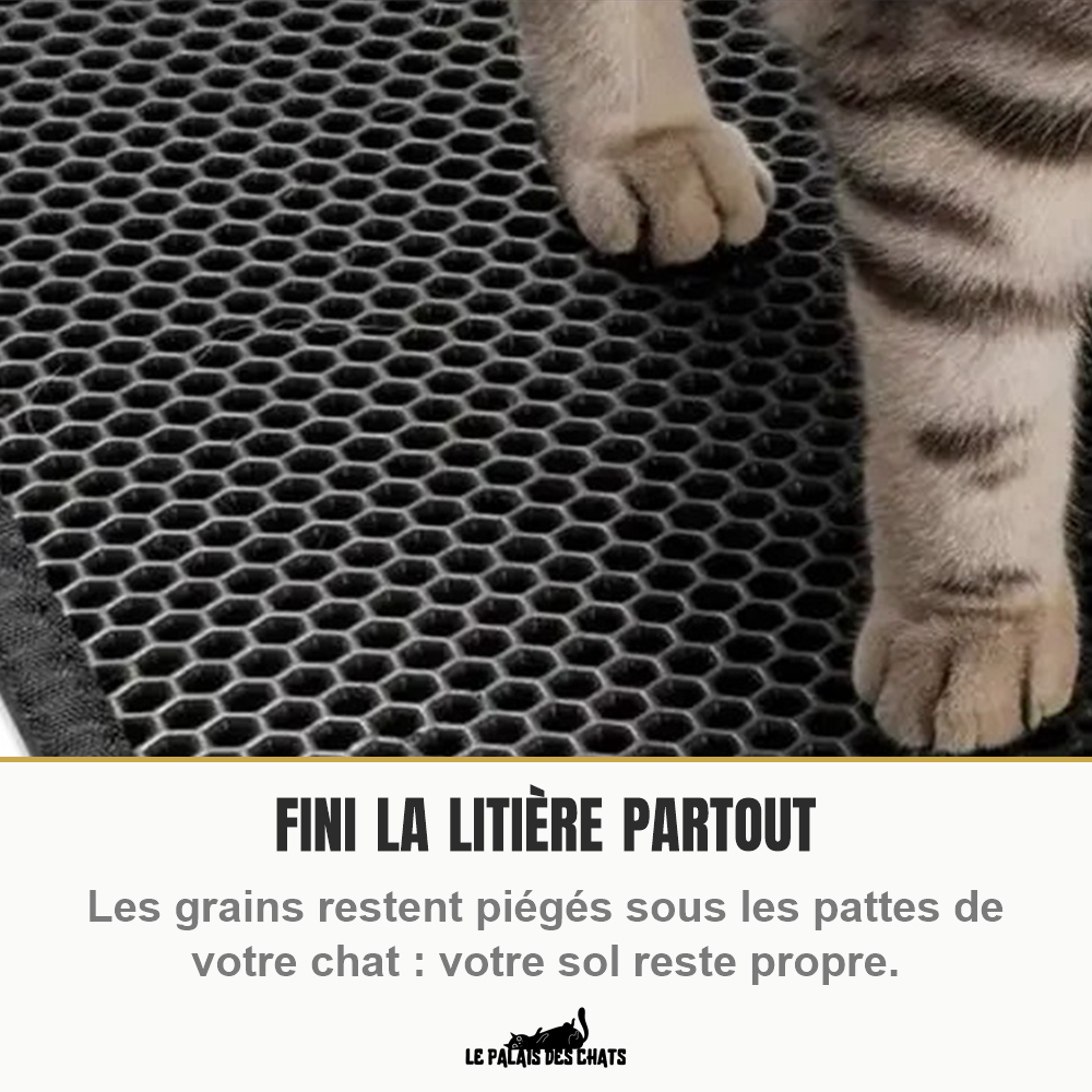 Pattes de chat sur le tapis de litière qui retient les grains et garde le sol propre