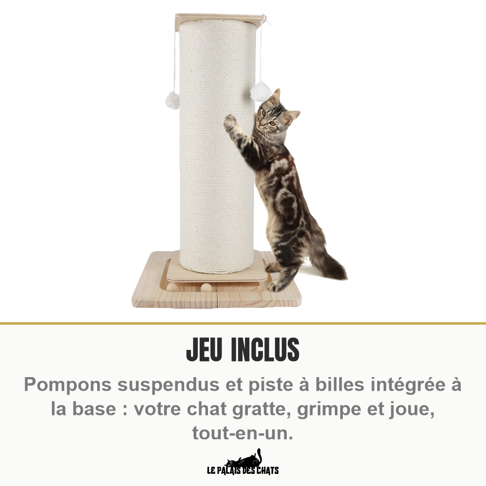 Chat tigré dressé sur ses pattes arrière, agrippé au tronc de sisal et attrapant un pompon suspendu, billes visibles dans la piste de la base en bois