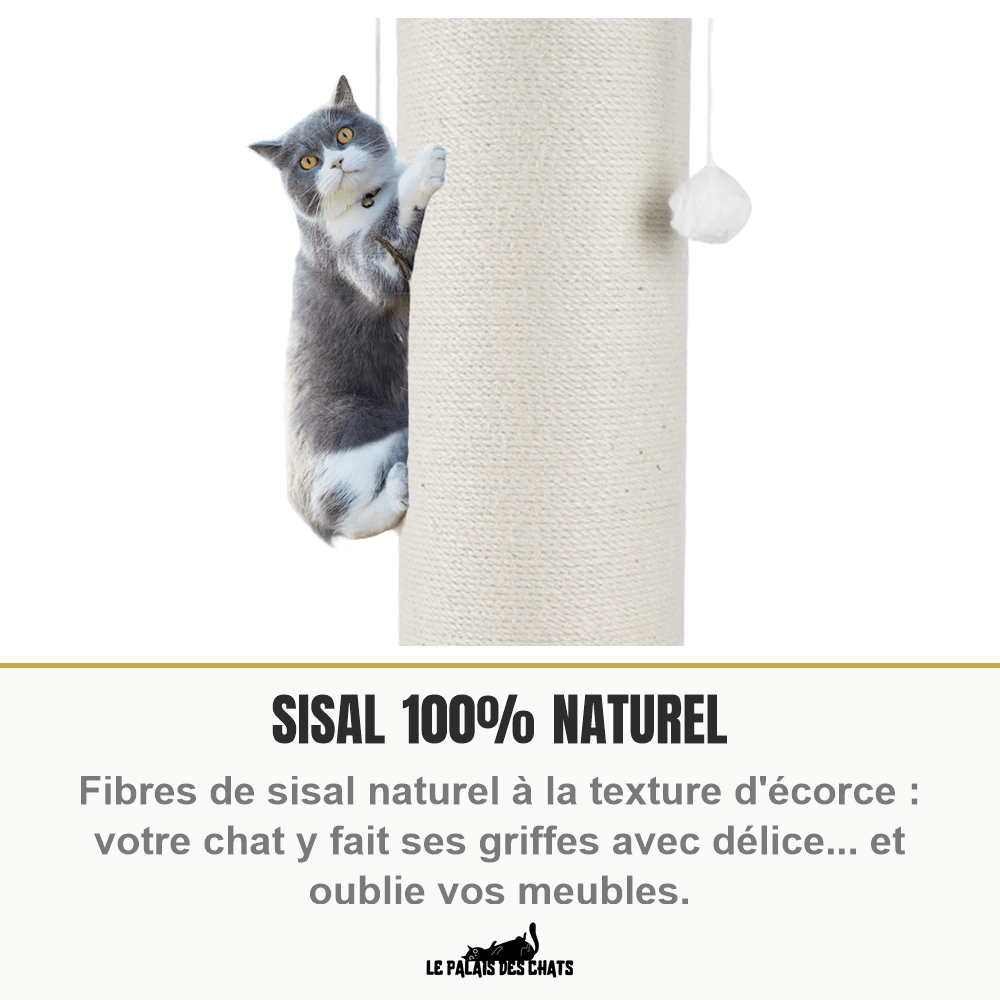 Poteau à gratter pour chat en bois et sisal naturel, 60/80 cm avec balle suspendue | Le Totem Royal - Le Palais des Chats