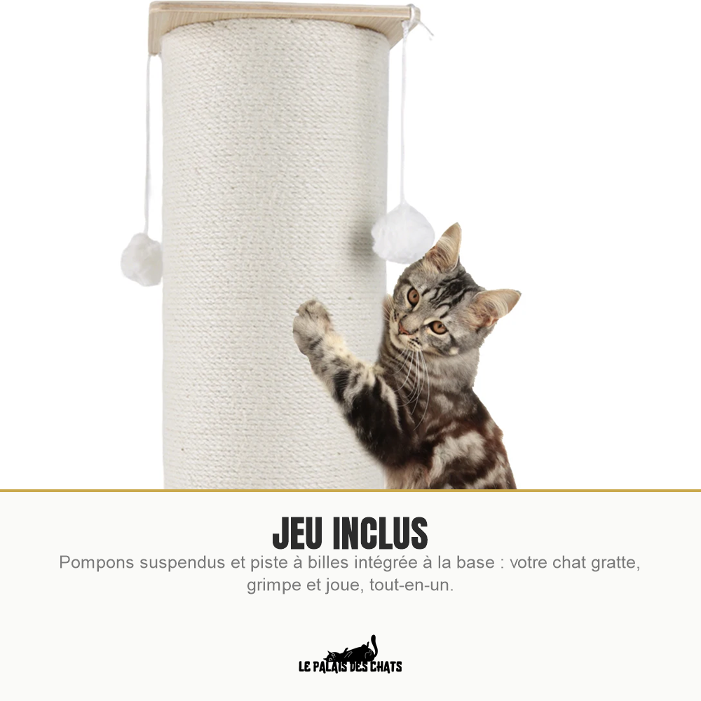 Chat jouant avec les pompons suspendus du poteau à gratter