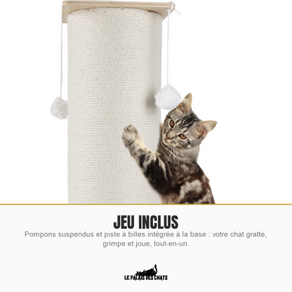 Chat jouant avec les pompons suspendus du poteau à gratter