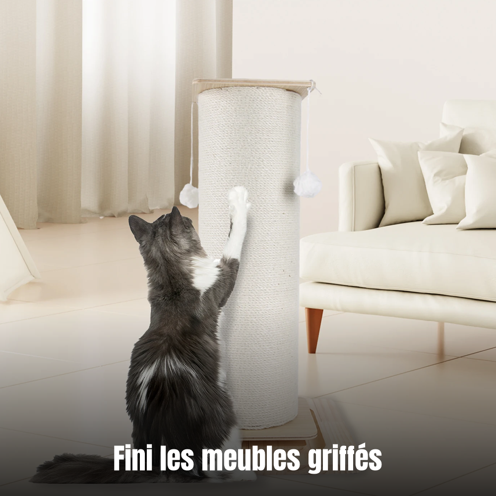 Chat qui fait ses griffes sur le poteau Le Totem Royal au salon