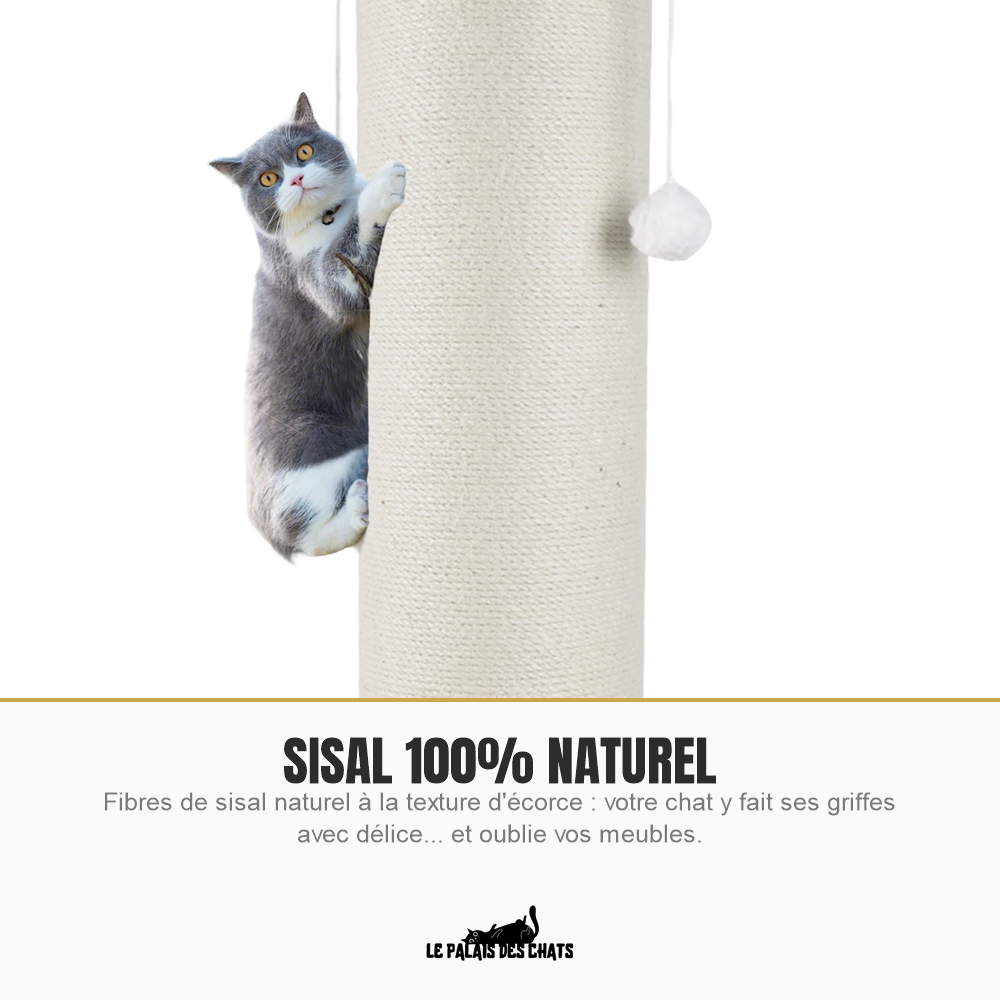 Chat faisant ses griffes sur le poteau en sisal naturel 100%