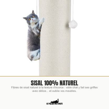 Chat faisant ses griffes sur le poteau en sisal naturel 100%