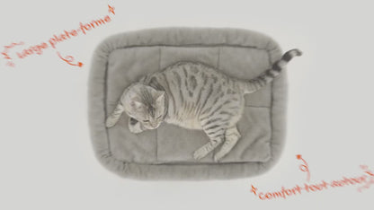 Arbre à chat compact Doux Perchoir en situation, chats sur les plateformes et niches