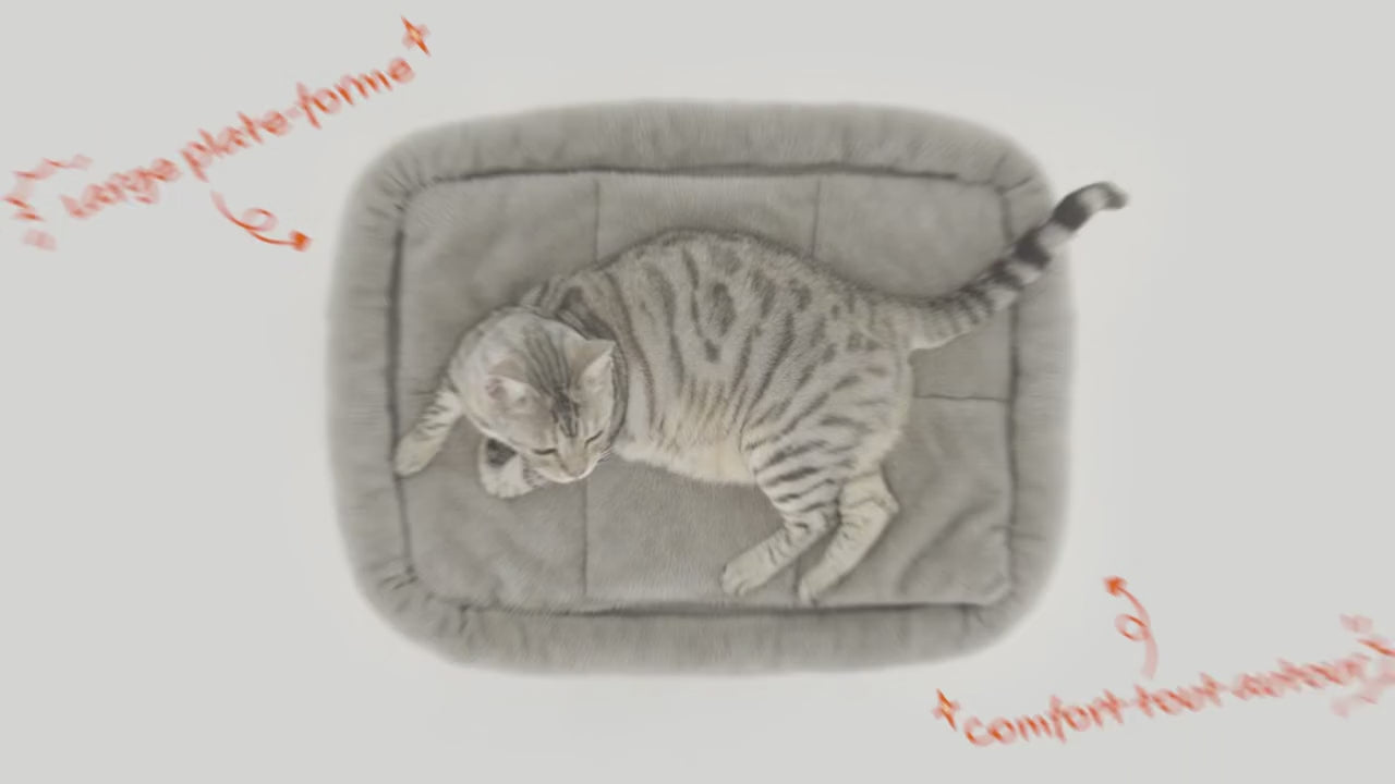 Arbre à chat compact Doux Perchoir en situation, chats sur les plateformes et niches