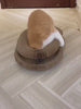 Jouet pour chat griffoir accordeon magique Flexi'Griff en demonstration, chat qui joue puis pliage ultra elastique et fermeture aimantee - Le Palais des Chats