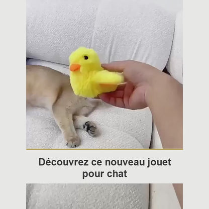 Miaou'Duck, jouet interactif pour chat qui bat des ailes et cancane