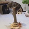 Des chats qui jouent avec le jouet en bois Griff'N'Fun : griffoir, plateau tournant et plumeau