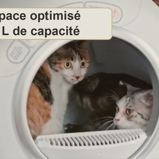 Bac à litière chat autonettoyant connecté Le Trône, démonstration en vidéo