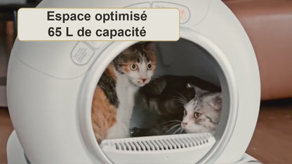 Bac à litière chat autonettoyant connecté Le Trône, démonstration en vidéo