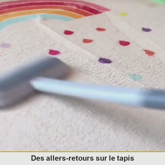 Vidéo de la brosse anti-poils Le Sceptre de Velours : allers-retours sur un tapis, poils regroupés sur le velours, passage sur un canapé, puis la mini-brosse sortie du manche sur un coussin