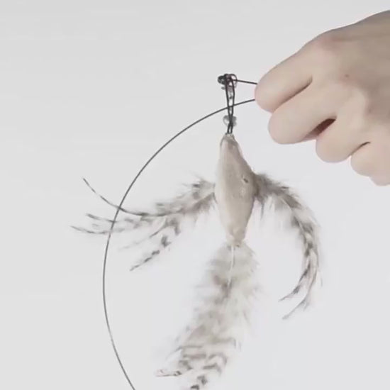 Chat qui joue avec le jouet plumeau interactif L'Oiseau Farceur