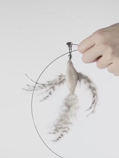 Chat qui joue avec le jouet plumeau interactif L'Oiseau Farceur