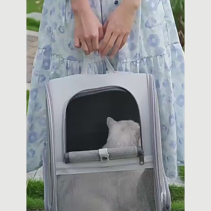 Sac à dos de transport pour chat ChatNomade porté en balade, chat installé à l'intérieur