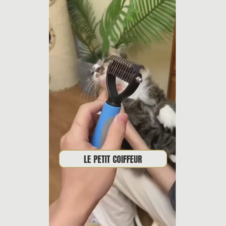 Vidéo du peigne démêloir pour chat Le Petit Coiffeur : brossage d'un chat à poil long et sous-poil retiré