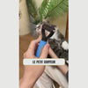 Vidéo du peigne démêloir pour chat Le Petit Coiffeur : brossage d'un chat à poil long et sous-poil retiré