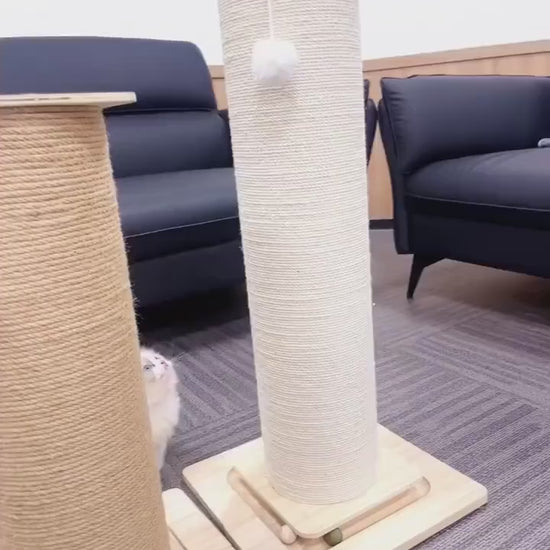 Le Totem Royal, poteau à gratter bois et sisal, chat en action