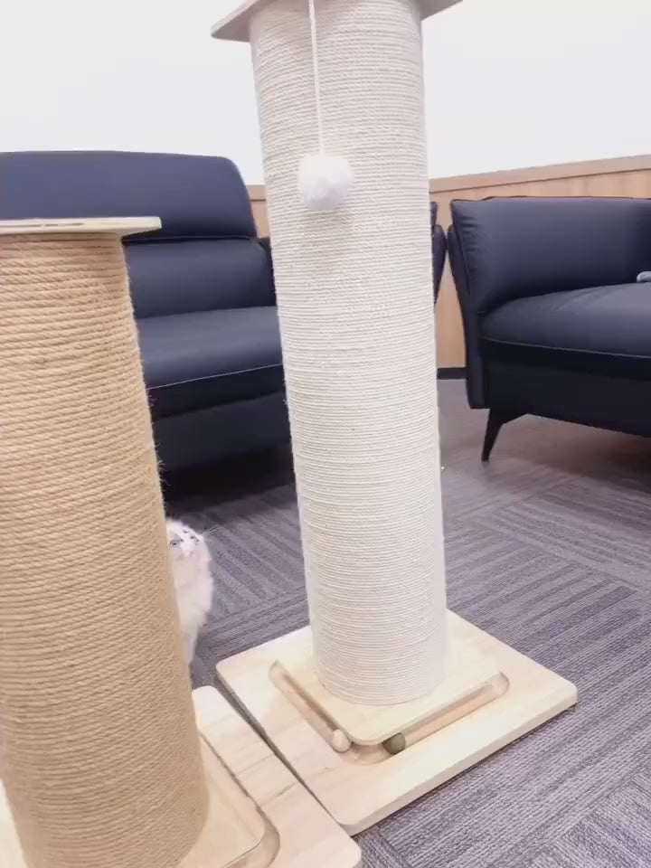 Le Totem Royal, poteau à gratter bois et sisal, chat en action