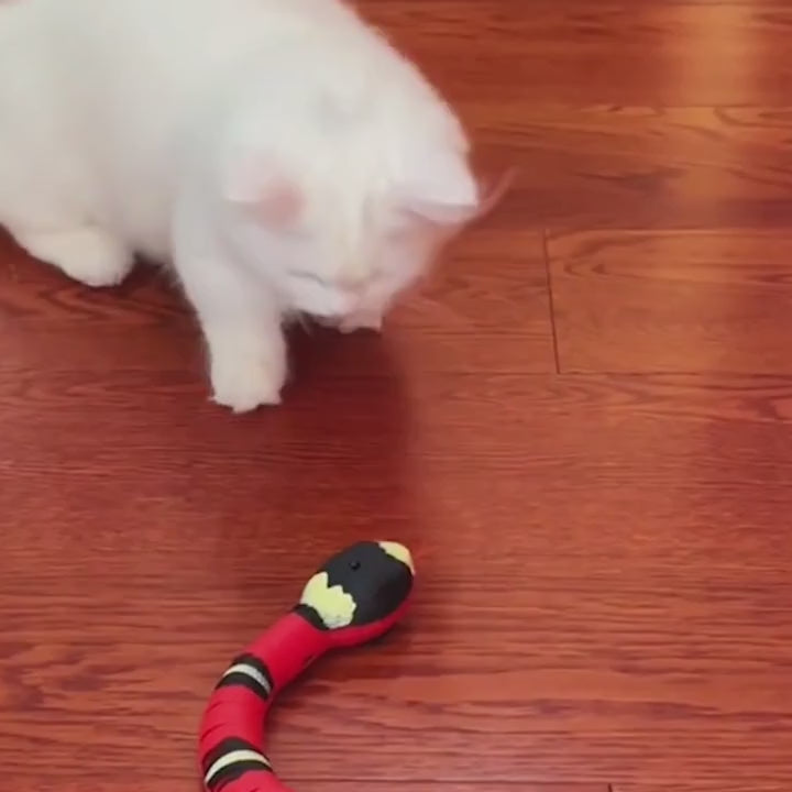 Chats jouant avec le serpent électronique interactif à capteur et yeux LED