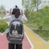 Sac à dos de transport bulle transparent Moorpet porté en balade, chat à l'intérieur