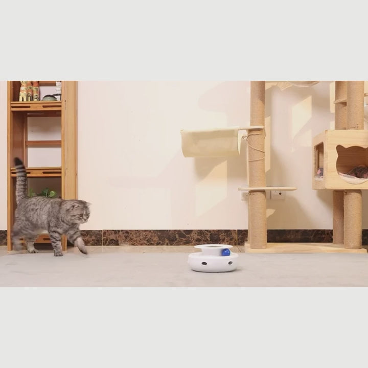 Chats jouant avec le jouet interactif électronique Le Tourbillon Félin, plume tournante