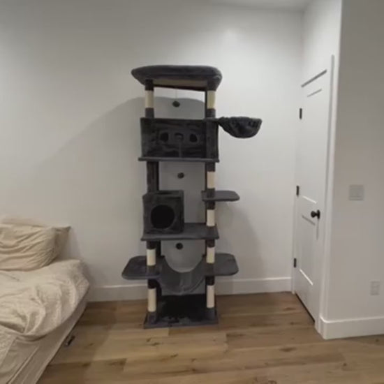 Vidéo de l'arbre à chat très haut Le Belvédère Royal gris foncé : l'arbre entier, le panier suspendu, la niche et le hamac, puis un chat installé dessus