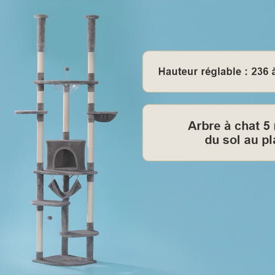 Arbre à chat du sol au plafond Hauteur Royale en démonstration