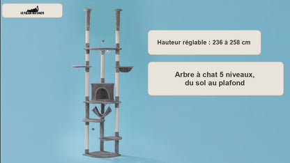 Arbre à chat du sol au plafond Hauteur Royale en démonstration