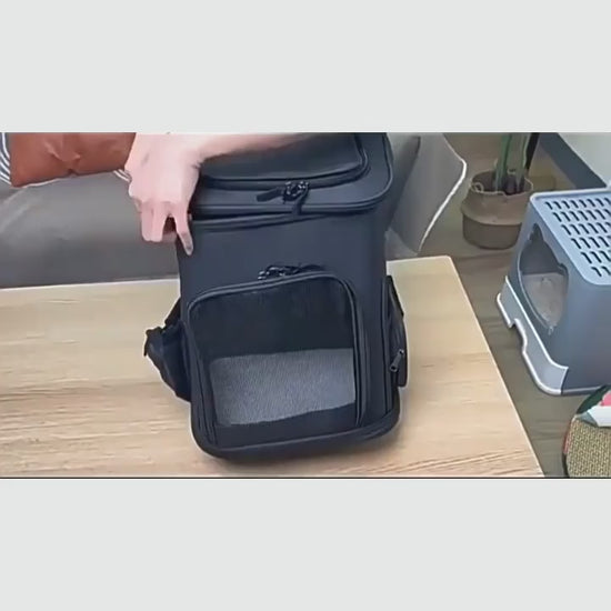 Démonstration du sac de transport pour chat extensible RandoFélins