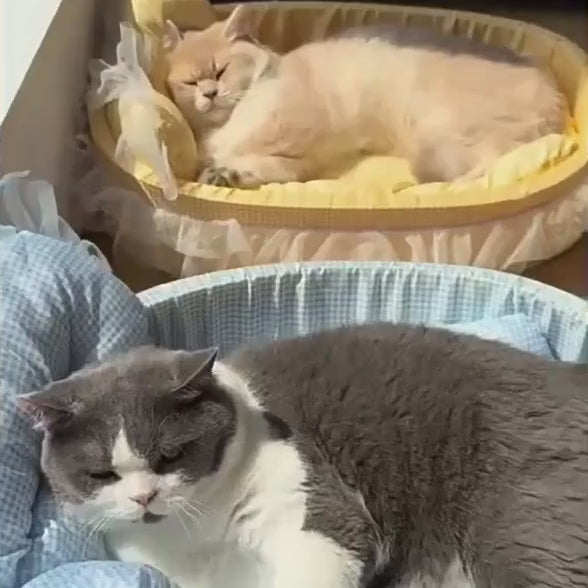 Vidéo du panier pour chat Le Boudoir Royal : des chats couchés dans les paniers en vichy, et le coussin amovible que l'on retourne