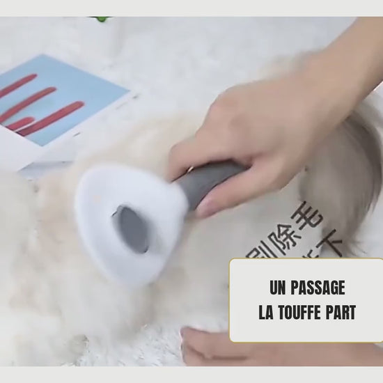 Démonstration de la brosse autonettoyante pour chat, du brossage au retrait de la touffe de poils