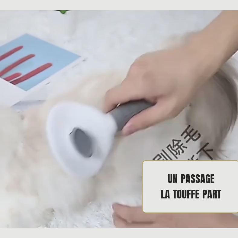 Démonstration de la brosse autonettoyante pour chat, du brossage au retrait de la touffe de poils