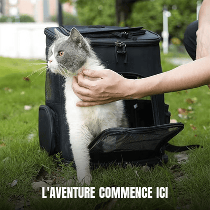 Chat gris et blanc caressé à la sortie du sac à dos de transport RandoFélins noir, posé dans l'herbe en plein air