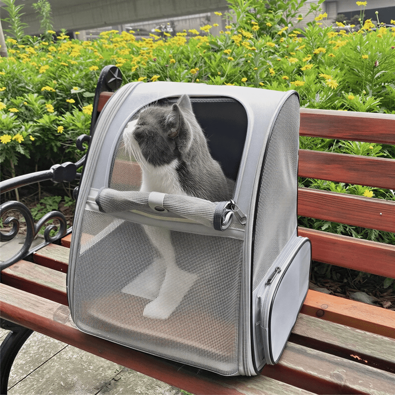 Chat gris et blanc passant la tête par la fenêtre ouverte du sac de transport ChatNomade gris, posé sur un banc