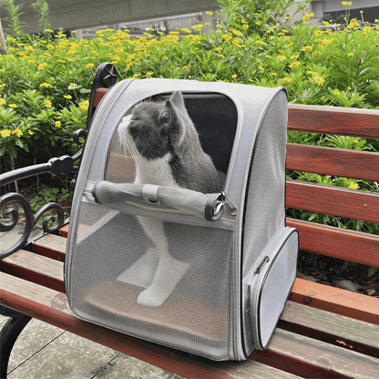 Chat gris et blanc passant la tête par la fenêtre ouverte du sac de transport ChatNomade gris, posé sur un banc