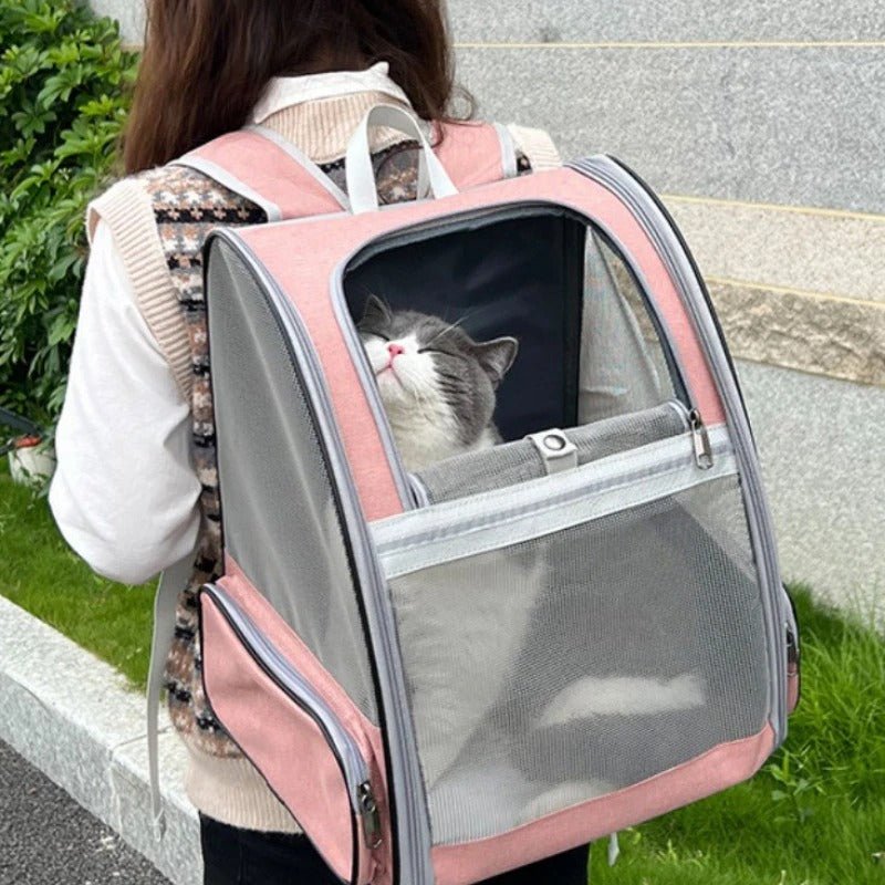Femme portant le sac à dos de transport rose sur le dos, chat gris et blanc installé à l'intérieur