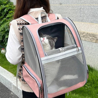 Femme portant le sac à dos de transport rose sur le dos, chat gris et blanc installé à l'intérieur