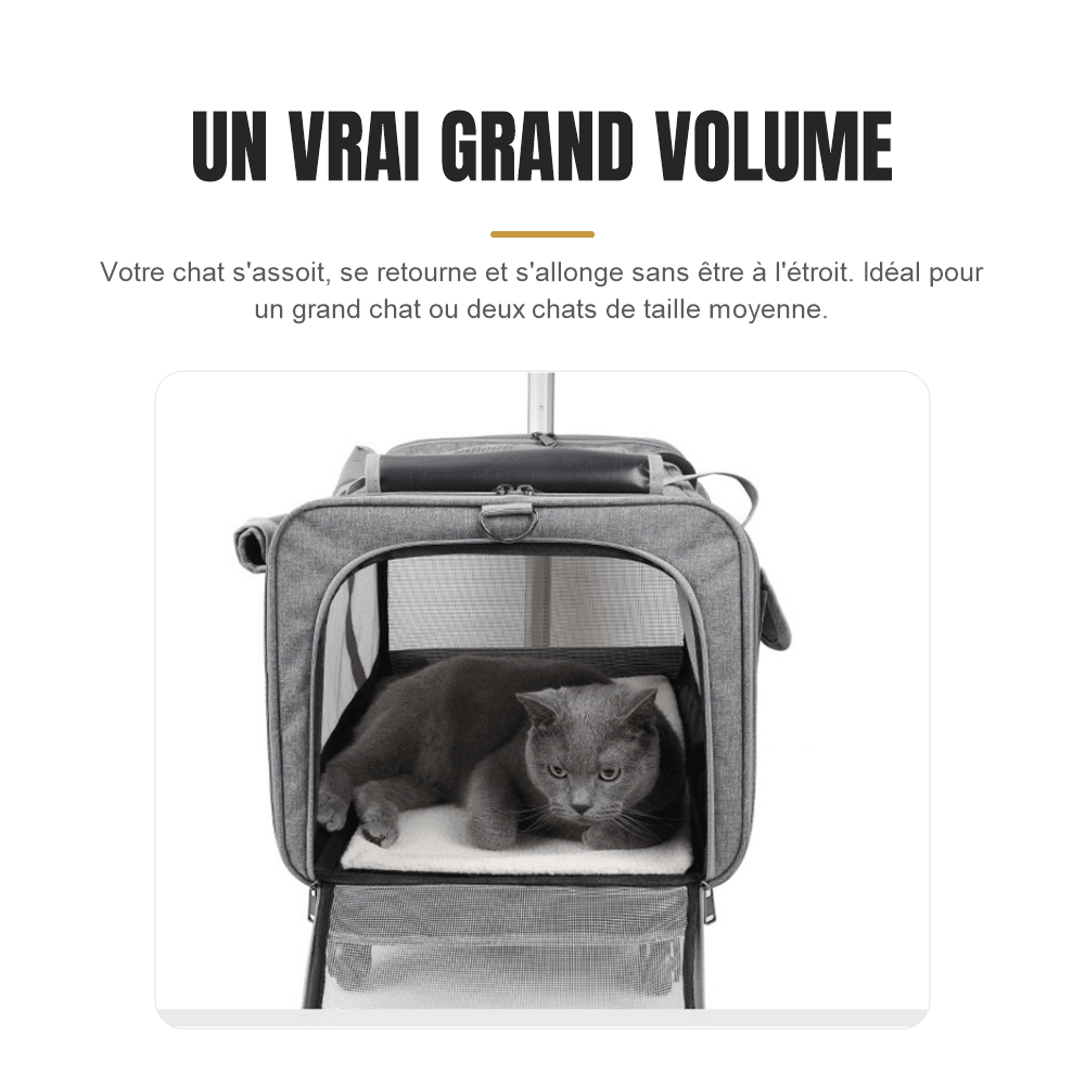 Sac de transport pour gros chat | La Mallette Royale - Le Palais des Chats