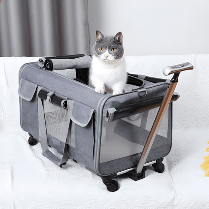 Sac de transport pour gros chat | La Mallette Royale - Le Palais des Chats