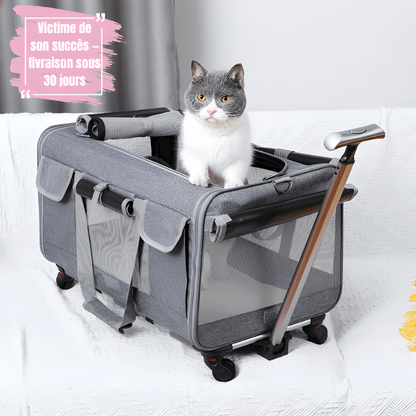 Sac de transport pour gros chat | La Mallette Royale - Le Palais des Chats