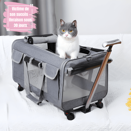 Sac de transport pour gros chat | La Mallette Royale - Le Palais des Chats